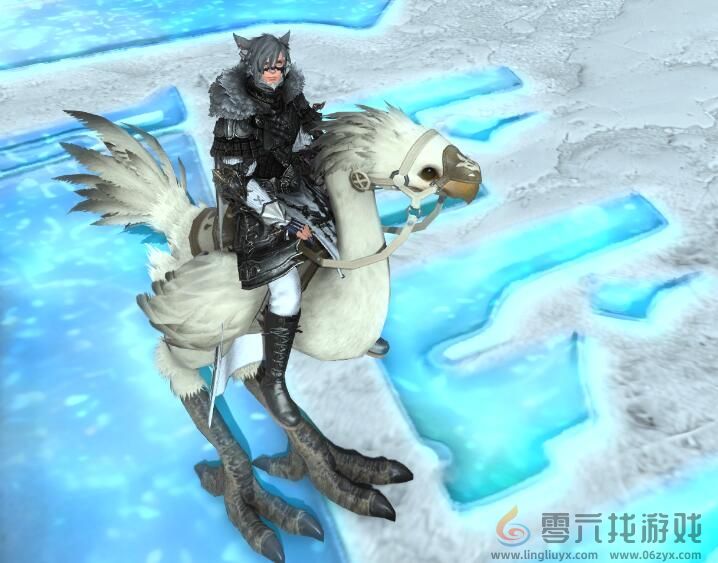 ff14专属陆行鸟获得方法(图3) ff14专属陆行鸟获得方法(图3)
