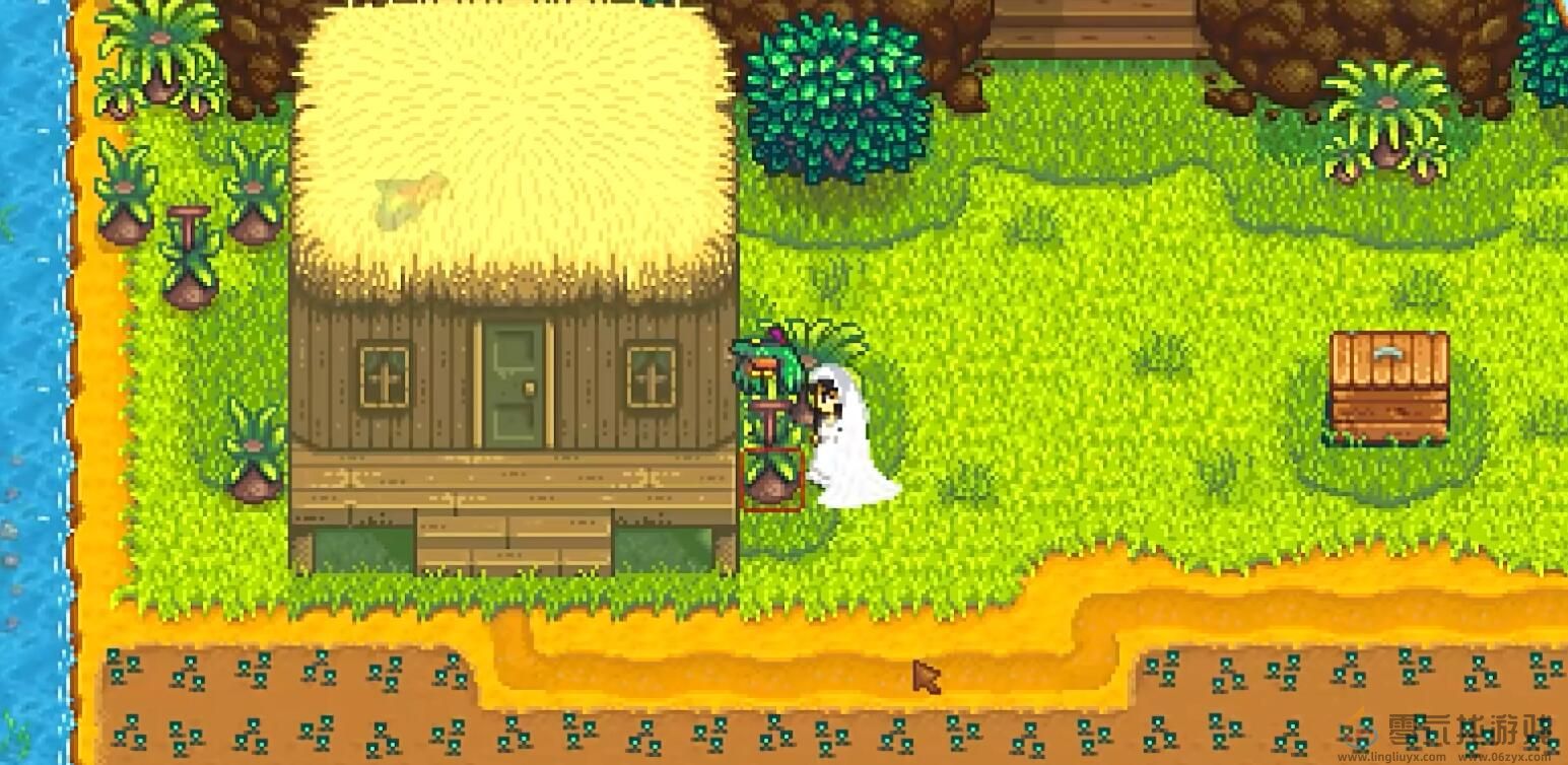 星露谷物语攻略大全(图8) 星露谷物语攻略大全(图8)