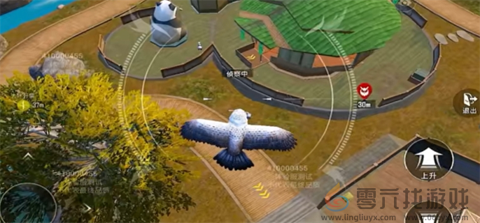 和平精英动物丛林全动物技能介绍(图10) 和平精英动物丛林全动物技能介绍(图10)